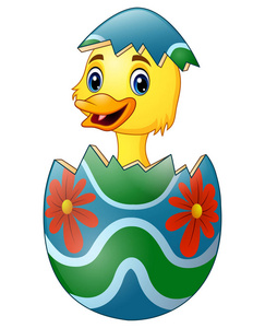 从鸡蛋孵出的可爱小鸭的矢量图解照片