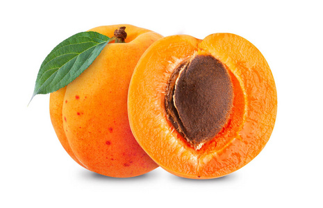 桃种子坑孤立在白色背景上的一个杏照片