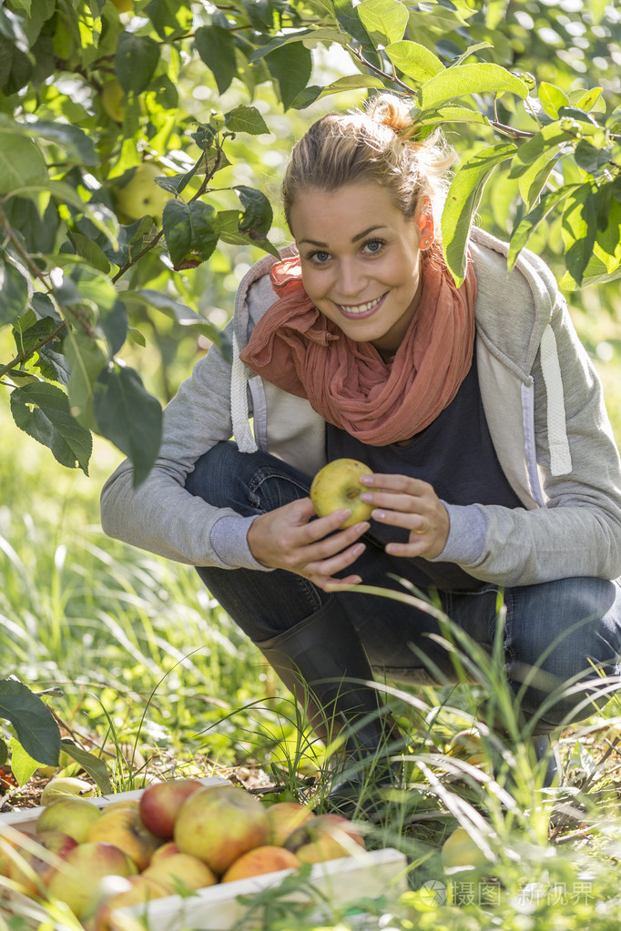 年轻女子进果园摘有机苹果