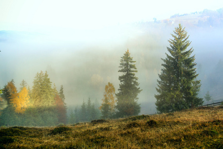 在喀尔巴阡山脉的多彩秋景