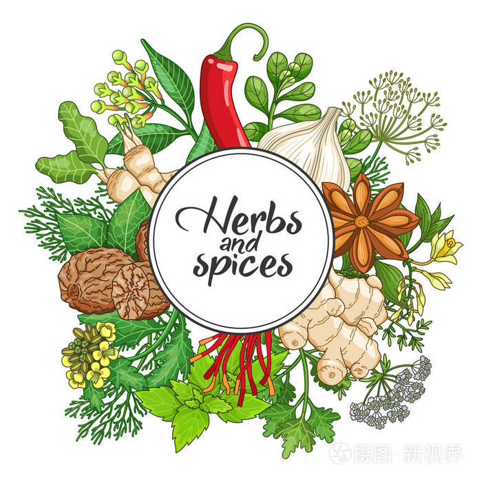 用香料和香草的矢量热圆型设计