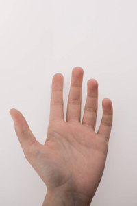 人的手，指着白色的背景上
