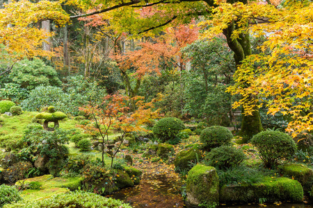 日本公园在秋天的季节