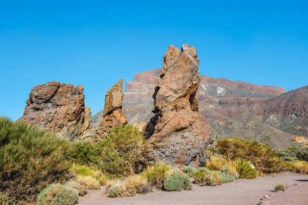 罗克斯德加西亚和埃尔泰德火山，特内里费岛，西班牙