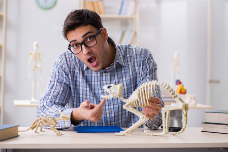 学习动物骨骼的学生医生