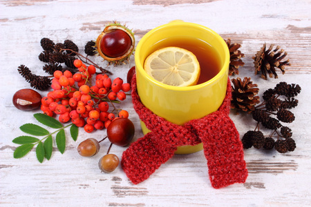 杯加柠檬的茶裹着羊毛围巾，变暖流感，秋季装修的饮品