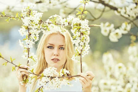 春天的花朵，在樱桃园与年轻漂亮的女孩
