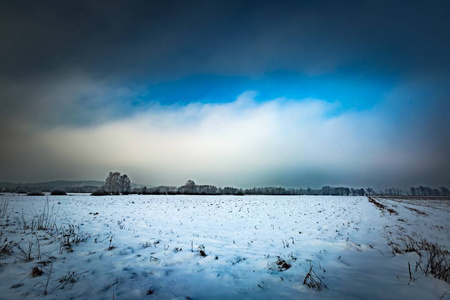 冬天白雪覆盖的田地和大雾天