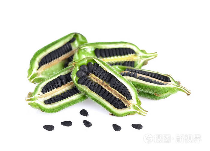 孤立在白色背景上的黑芝麻种子