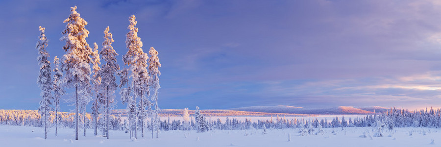 在芬兰的拉普兰冬季日落时的雪景