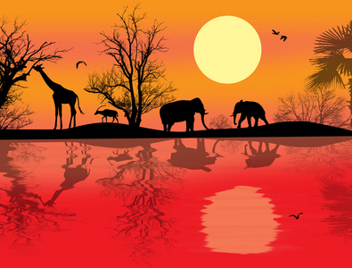 非洲野生动物园主题图片