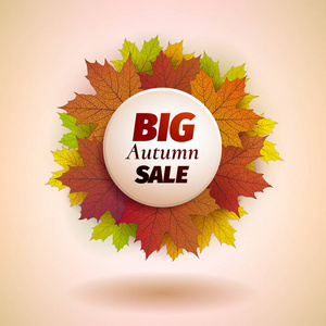 秋季销售设计。秋季优惠。向量秋天叶子。矢量秋季销售海报插图与五颜六色的秋叶。可用于商业传单, 横幅或海报