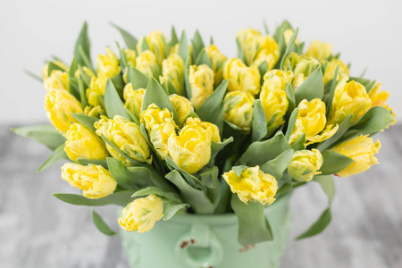 黄色的郁金香在绿色花瓶。五颜六色的郁金香的大芽。花卉自然背景。Bicolour 郁金香填充图片。不寻常的花朵, 不同于其他。花鹦