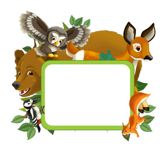 啄木鸟边框与动物卡通框架照片