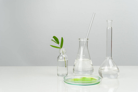 绿色叶子与实验室玻璃器皿和设备