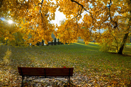 在秋天的公园, 黄色和红色的叶子在树上的秋天