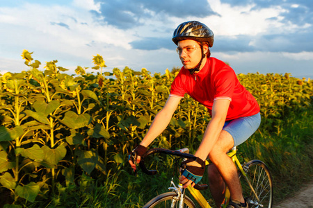 骑着红色蓝色的自行车骑在向日葵的田野上。在背景美丽的蓝天
