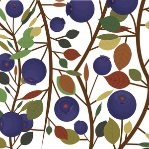 蓝莓果实与叶片设计