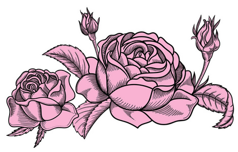花叶的矢量插图。非常详细的花卉素描风格。高雅的花卉装饰设计。所有组成成分在每个组中都被分离