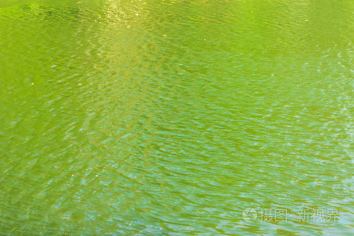 湖泊水面上的绿色涟漪照片-正版商用图片0fsnns-摄图新视界