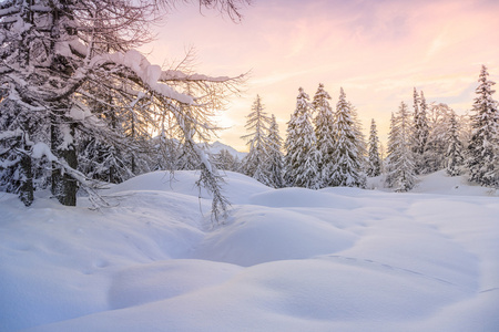 傅高义滑雪中心附近的冬季景观