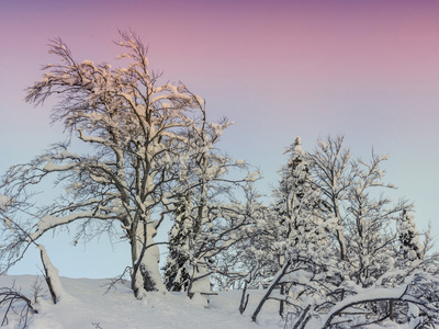 傅高义滑雪中心附近的冬季景观