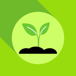 生长的萌芽平面图标与长阴影.矢量图形插图照片