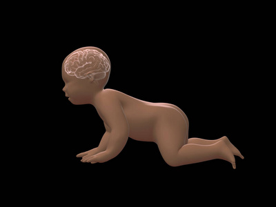 3d 渲染 x 射线的爬行的婴儿大脑 inside.3d 呈现