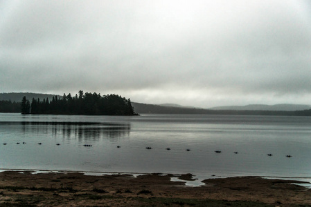 加拿大安大略湖二条河灰色早晨黑暗的大气小松树海岛在水阿冈昆国家公园