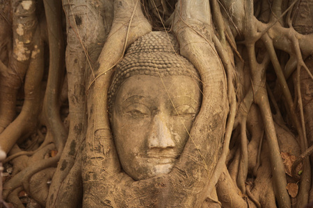 亚洲泰国大城府扫管笏帕玛哈泰寺石雕头像