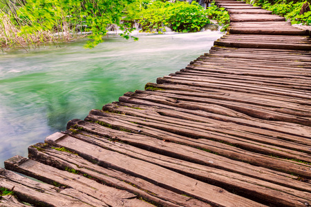 公园栈道在国家公园里十六木栈道照片