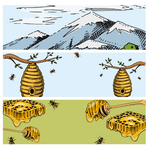 蜂房农场矢量牌手工绘制的老式蜂蜜制作农民养蜂插图自然产品蜜蜂