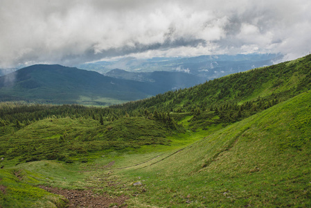 美丽的山风景在. 野生自然