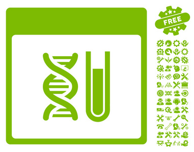 Dna 分析日历页矢量图标与奖金