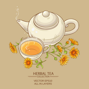 金盏菊茶矢量图照片