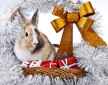 兔子的圣诞装饰