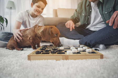 感兴趣的腊肠狗嗅探跳棋在船上