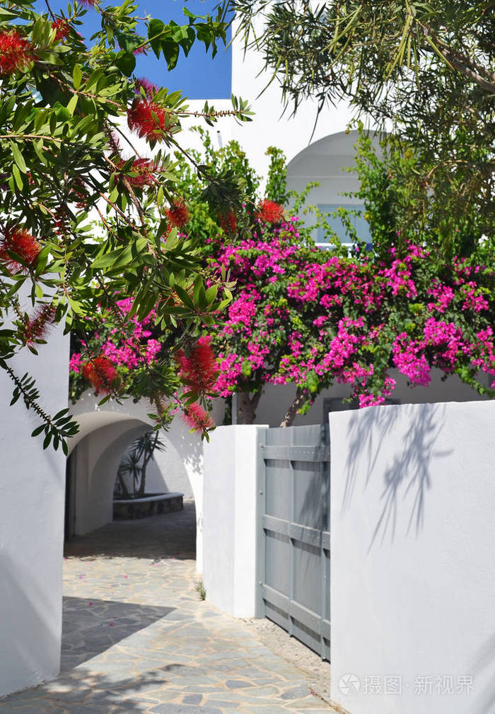 典型的和传统的庭院/街道与白色墙壁和明亮的花在背景蓝色天空, 佩里