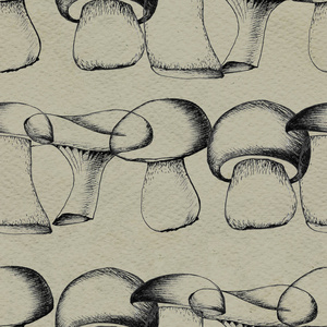 手绘制无缝模式与蘑菇图片