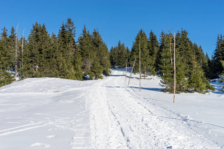 空雪覆盖在巨人山冬季景观路图片