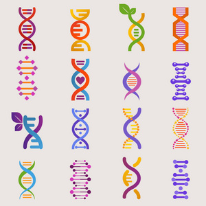 Dna 载体基因在生物医学研究和 Dnase 或 Dnabinding 结构图集上的基因标记在白色背景下隔离