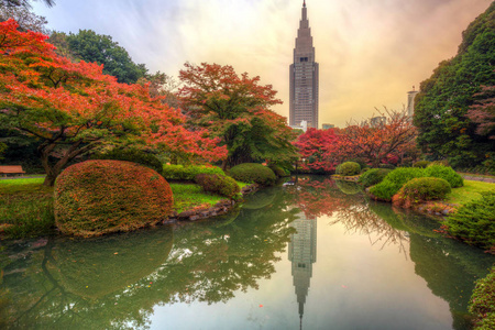 在东京新宿公园的秋天