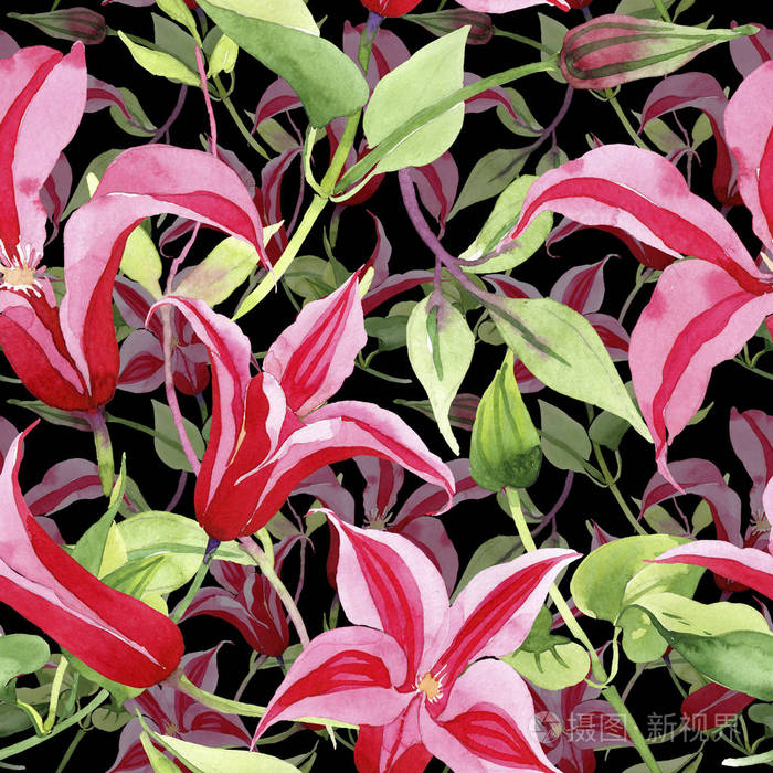 红线莲.花卉植物花.野春叶野花图案