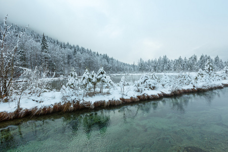 小冬天流与雪树