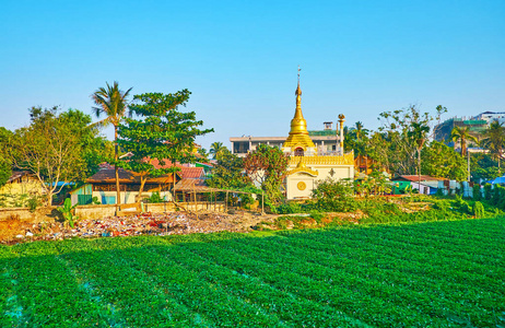 在缅甸的农业与自然景观在缅甸的农业与自然景观缅甸-曼德勒地区的