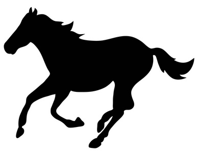 饲养马精美的矢量动画剪影 ― ― 黑白色.eps 10 矢量图照片