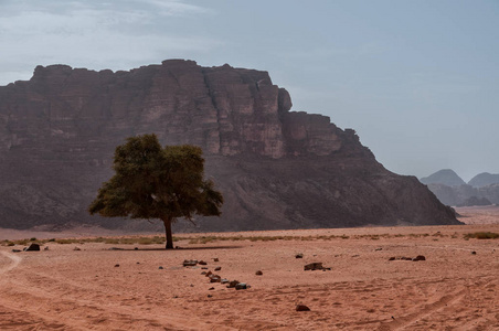 Wadi rum 沙漠景观