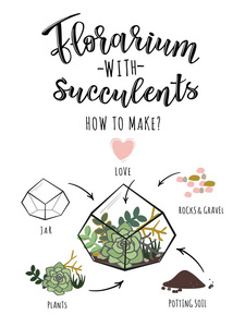 带肉质植物的 florarium 的矢量图解