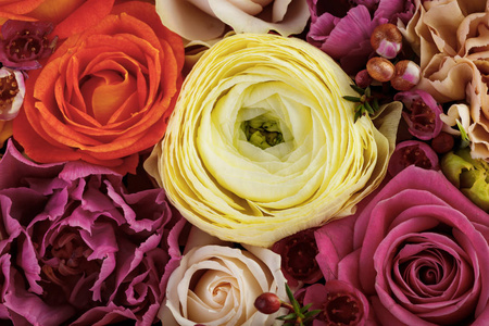 七彩气球花朵女图片