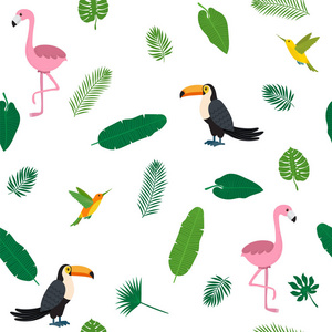 热带无缝模式与粉红色的火烈鸟，巨嘴鸟，hummingb